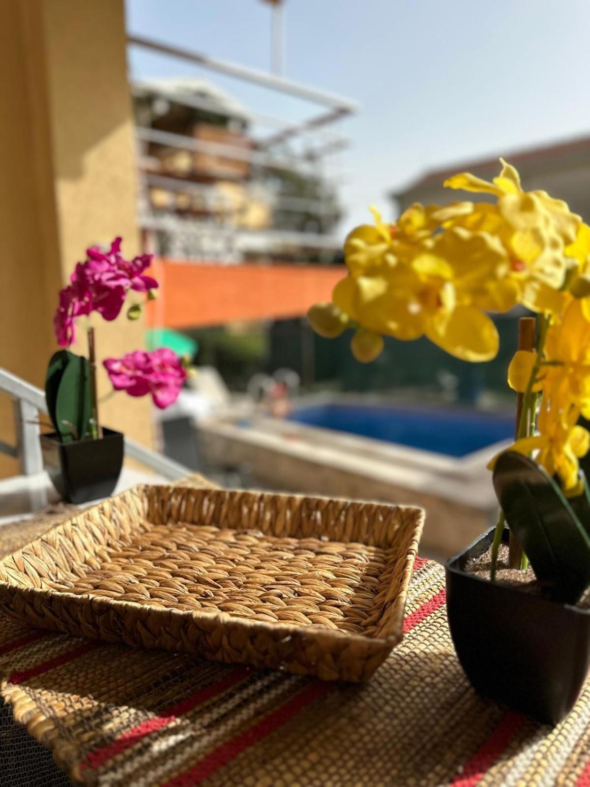 Themis Apart Hotel 科托尔 外观 照片